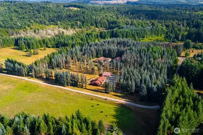 212 156th Lane SE, Tenino, WA 98589 - Photo 27