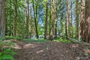150 E Graham Rd, Belfair, WA 98528 - Photo 27
