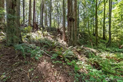 150 E Graham Road, Belfair, WA 98528 - Photo 29