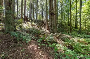 150 E Graham Rd, Belfair, WA 98528 - Photo 29