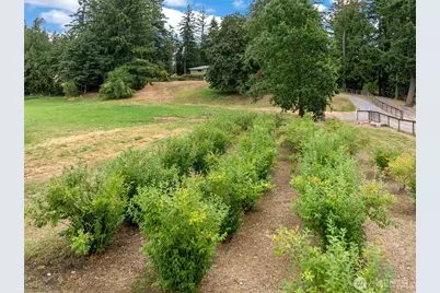 41212 268th Avenue SE, Enumclaw, WA 98022 - Photo 35