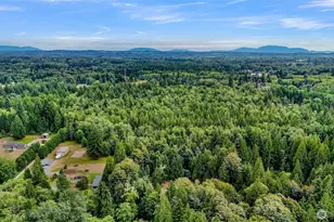 3621 Haynie Rd, Blaine, WA 98230 - Photo 39