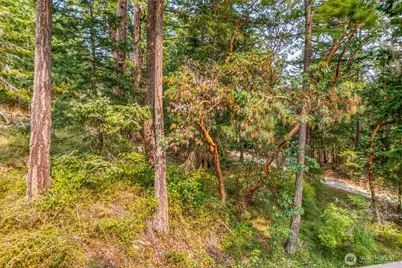 83 Cascade Way, Orcas Island, WA 98245 - Photo 27