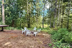 861 N Potlatch Dr, Hoodsport, WA 98548 - Photo 23