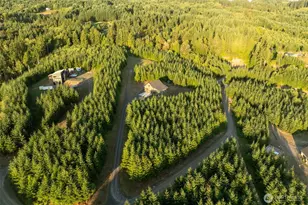 214 Bootjack Ln, Kelso, WA 98626 - Photo 39