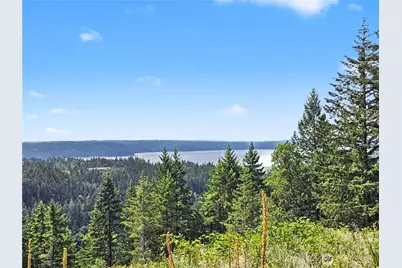646 Madrona Ridge Drive, Brinnon, WA 98320 - Photo 23