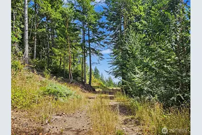 646 Madrona Ridge Drive, Brinnon, WA 98320 - Photo 7
