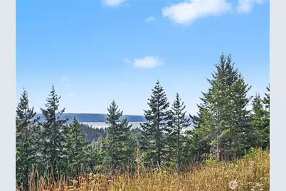 646 Madrona Ridge Drive, Brinnon, WA 98320 - Photo 13