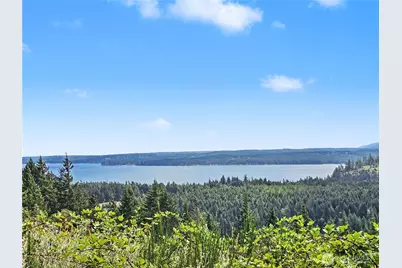 646 Madrona Ridge Drive, Brinnon, WA 98320 - Photo 21