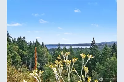 646 Madrona Ridge Drive, Brinnon, WA 98320 - Photo 29