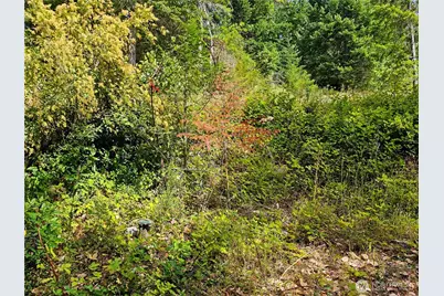 646 Madrona Ridge Drive, Brinnon, WA 98320 - Photo 5