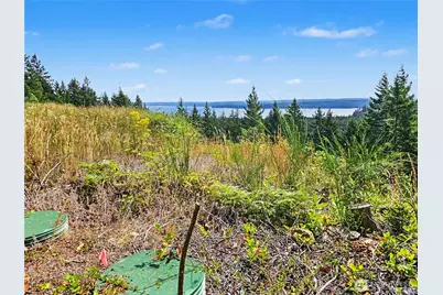 646 Madrona Ridge Drive, Brinnon, WA 98320 - Photo 3