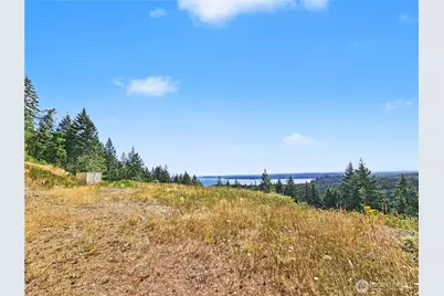646 Madrona Ridge Drive, Brinnon, WA 98320 - Photo 9