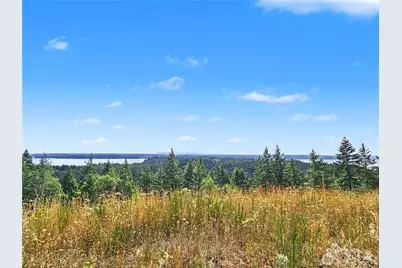 646 Madrona Ridge Drive, Brinnon, WA 98320 - Photo 15