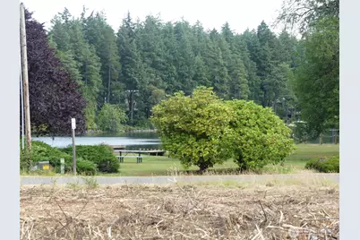 10107 Narrows Drive, Anderson Island, WA 98303 - Photo 5