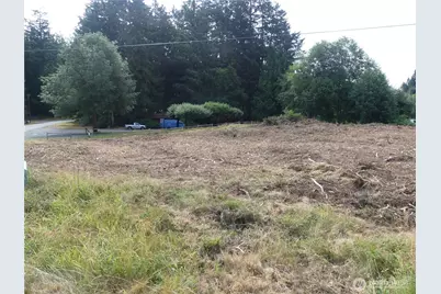 10107 Narrows Drive, Anderson Island, WA 98303 - Photo 11
