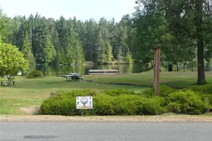 10107 Narrows Dr, Anderson Island, WA 98303 - Photo 1