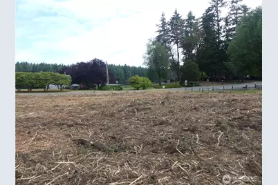 10107 Narrows Drive, Anderson Island, WA 98303 - Photo 9
