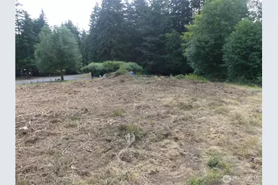 10107 Narrows Drive, Anderson Island, WA 98303 - Photo 3