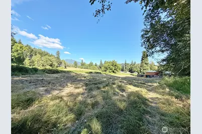 133 Martin Road, Glenoma, WA 98336 - Photo 5