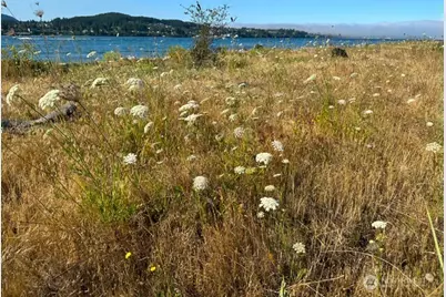 7489 Woody Lane, Anacortes, WA 98221 - Photo 35