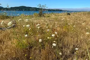 7489 Woody Ln, Anacortes, WA 98221 - Photo 35
