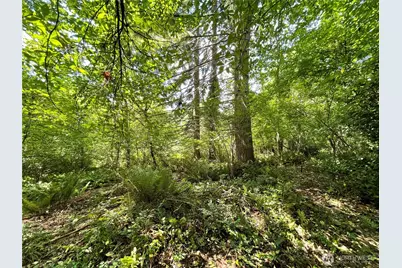 3 Xxx NE 30th Street, Bremerton, WA 98310 - Photo 15