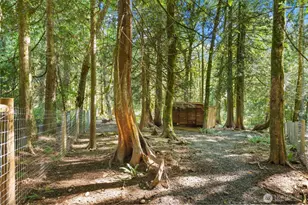 14677 Sivertson Rd NE, Bainbridge Island, WA 98110 - Photo 35