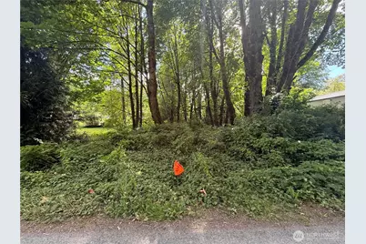 0 Cape Horn Drive, Concrete, WA 98237 - Photo 3