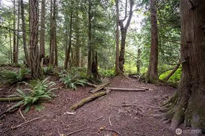 0 Nhn E Horton Road, Bellingham, WA 98226 - Photo 9