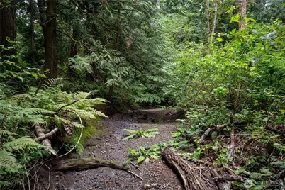 0 Nhn E Horton Road, Bellingham, WA 98226 - Photo 13