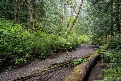 0 Nhn E Horton Road, Bellingham, WA 98226 - Photo 17