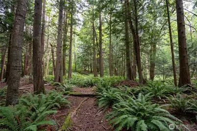 0 Nhn E Horton Road, Bellingham, WA 98226 - Photo 5