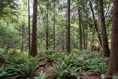 0 Nhn E Horton Road, Bellingham, WA 98226 - Photo 11