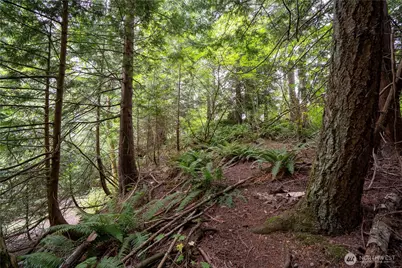 0 Nhn E Horton Road, Bellingham, WA 98226 - Photo 7