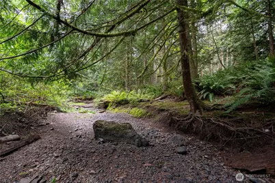 0 Nhn E Horton Road, Bellingham, WA 98226 - Photo 15
