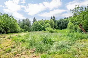 355 Slide Creek Rd, Longview, WA 98632 - Photo 29
