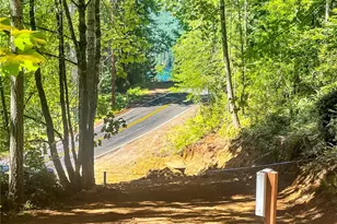 4840 N Lake Cushman Rd, Hoodsport, WA 98548 - Photo 1