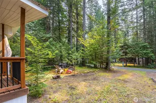 162 1 Fireside Lodge Circle, Deming, WA 98244 - Photo 15
