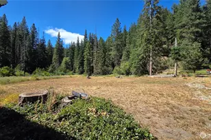 8925 Merry Canyon Rd, Leavenworth, WA 98826 - Photo 27