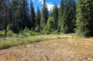 8925 Merry Canyon Rd, Leavenworth, WA 98826 - Photo 37