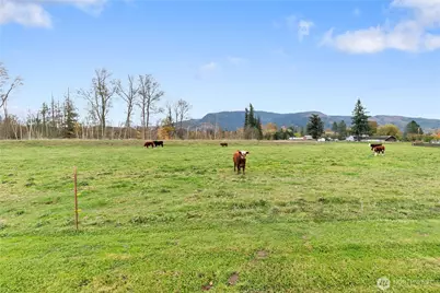 107 South Pass Road #14, Nooksack, WA 98276 - Photo 5