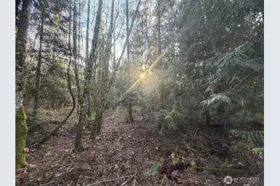 4 Xx House Place, Camano Island, WA 98282 - Photo 11