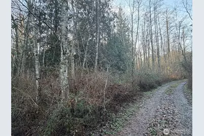 4 Xx House Place, Camano Island, WA 98282 - Photo 7