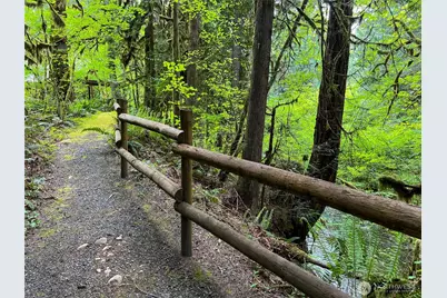 423 Lords Lake Loop, Quilcene, WA 98376 - Photo 27