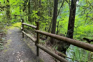 423 Lords Lake Loop, Quilcene, WA 98376 - Photo 27