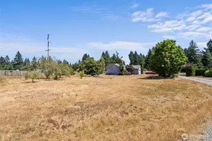 18303 Ivan St SW, Rochester, WA 98579 - Photo 33