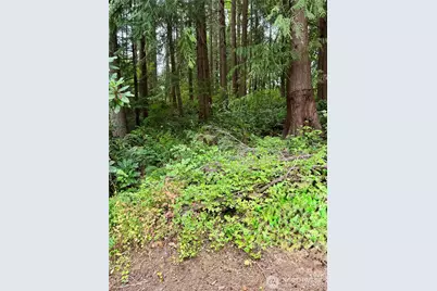 27120 NE 152nd Street, Duvall, WA 98019 - Photo 21