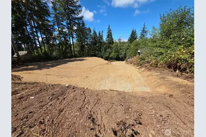 0 E Rasor Road, Belfair, WA 98528 - Photo 3