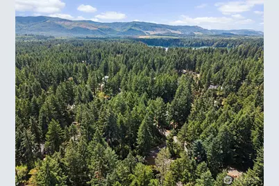 18102 Big Fir Court SE, Yelm, WA 98597 - Photo 33